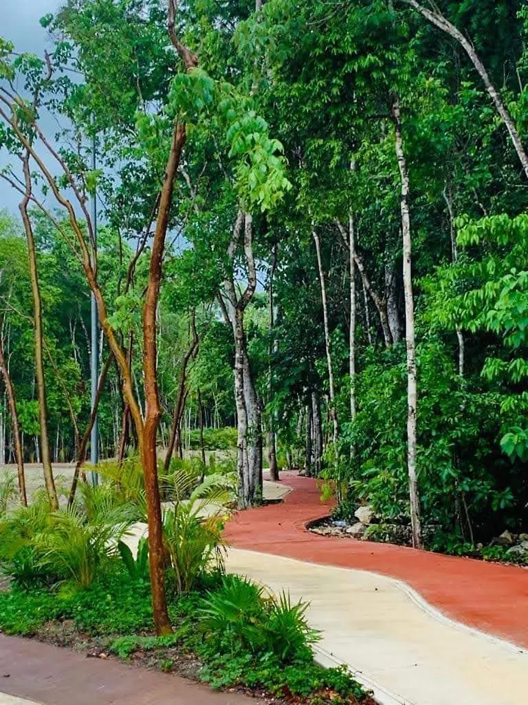 Casa Ruisu 2 Plantas Amueblada Alberca En Playa Del Carmen Mayakoba Seguridad Bien Ubicada Jardines Senderos Comercios Prázdninový dům